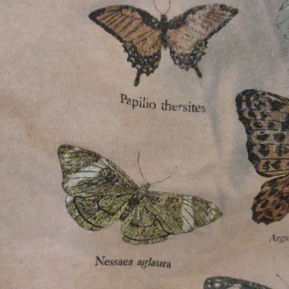 *SOLD* BOGO NWT CACTUS & PEARL Butterfly Graphic Crewneck Tee - Picture 2 of 7